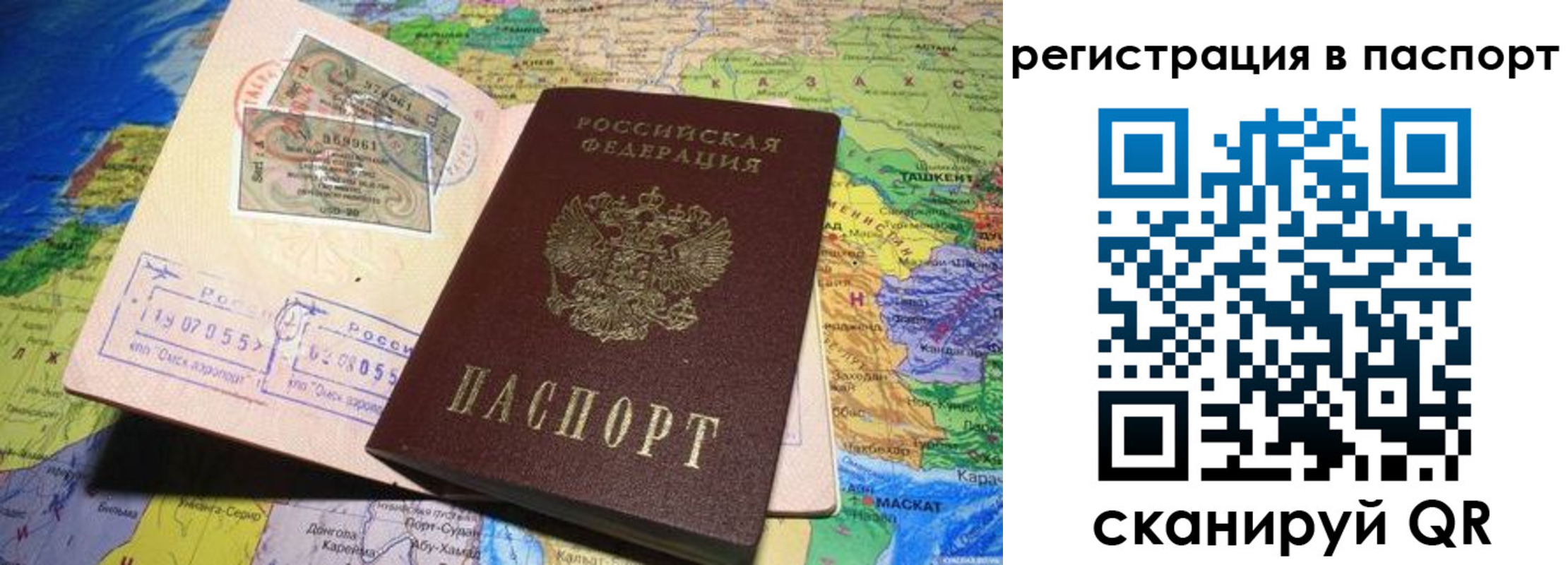 прописка гарантия в Королёве